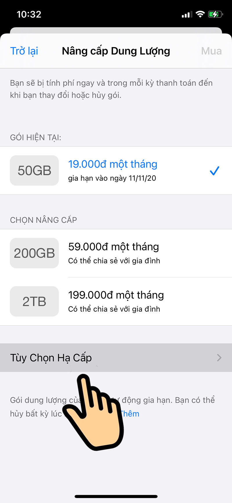 Tùy chọn hạ cấp