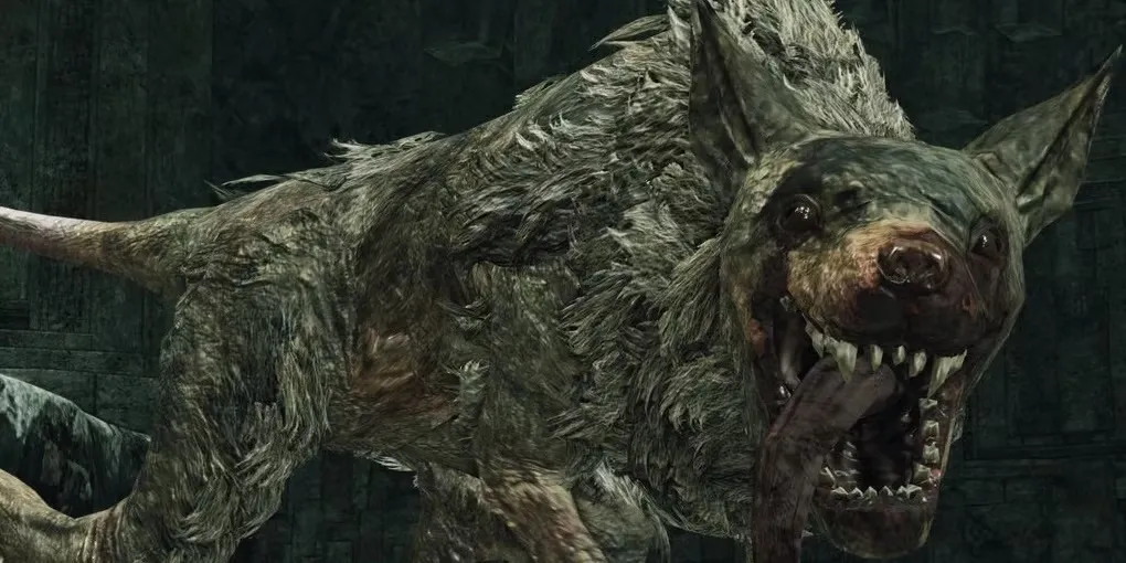 Boss Royal Rat Authority Dark Souls 2 và đàn chuột con gây độc
