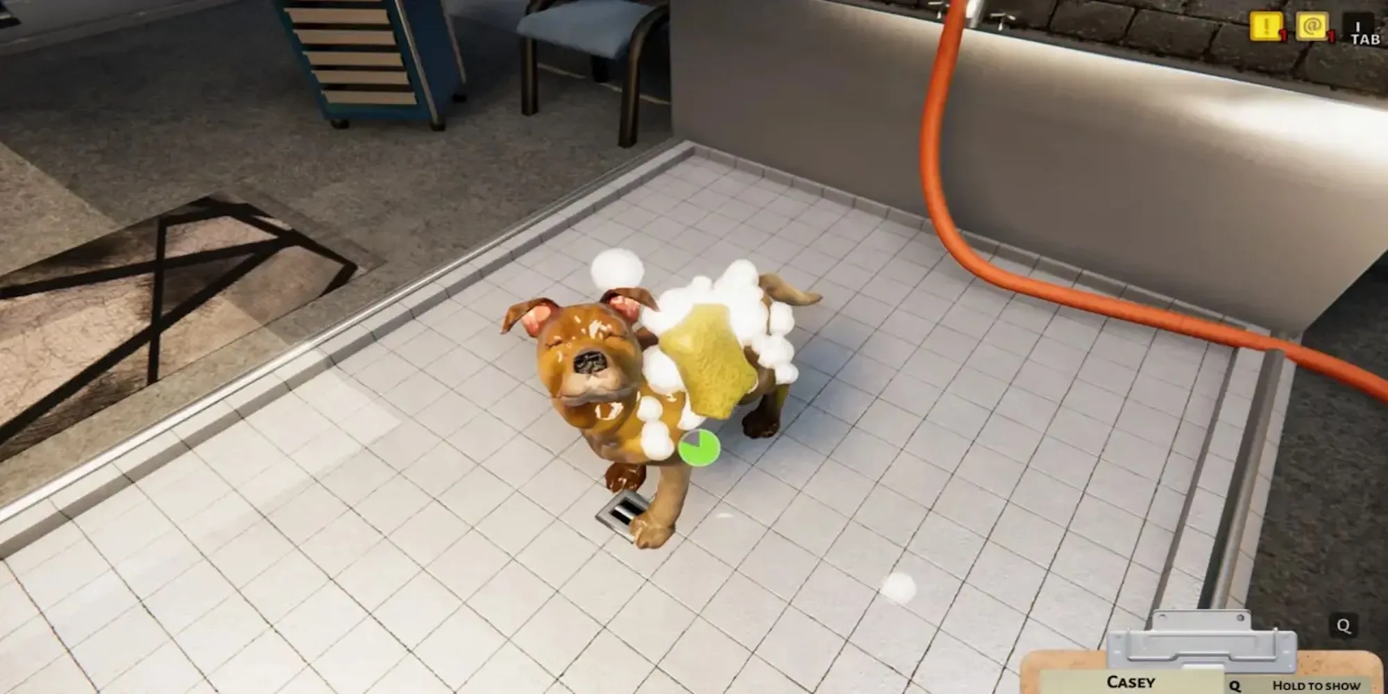 Người chơi đang chăm sóc một chú chó trong Animal Shelter Simulator