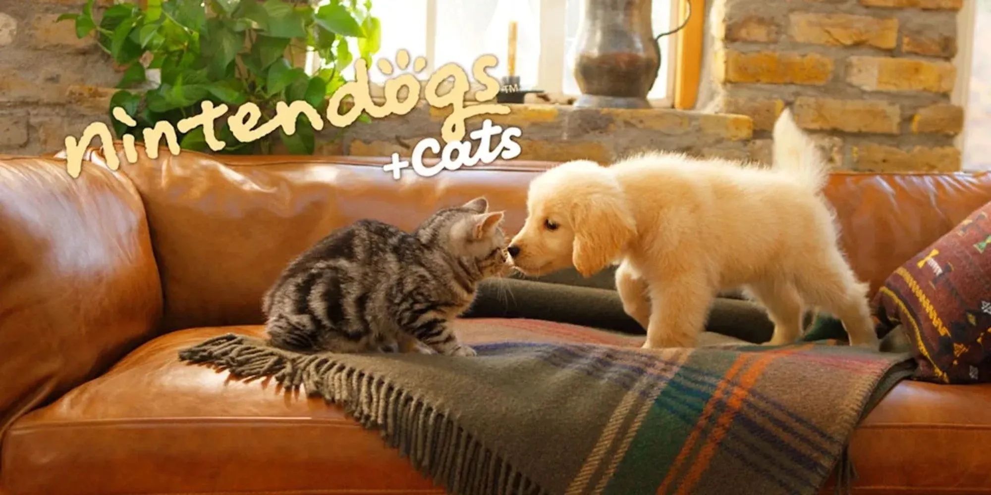 Những chú chó và mèo đáng yêu trong Nintendogs + Cats
