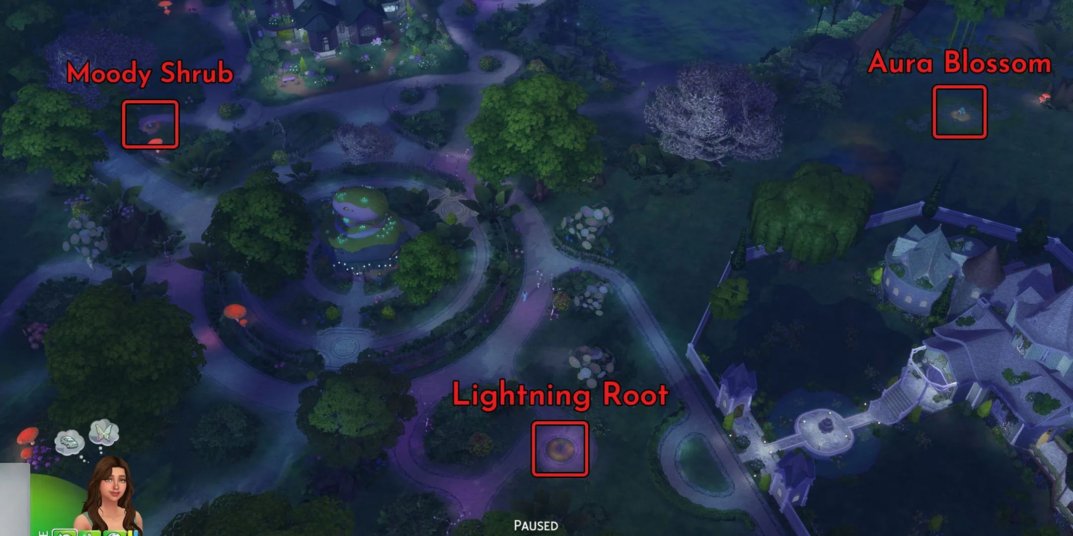 Vị trí của các loại cây Everdew trong The Sims 4, bao gồm Aura Blossom